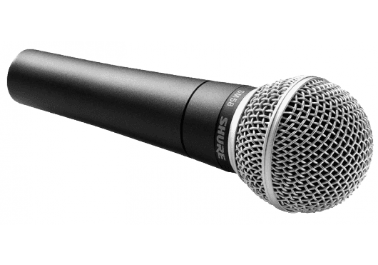 Audio - MICROS - Un micro chant idéal pour chanter à tue