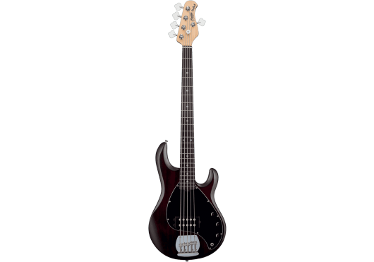 Guitares & Co - GUITARES BASSES - BASSES ELECTRIQUES - STERLING BY MUSIC MAN - GSU RAY5-WS-R1 - Royez Musik